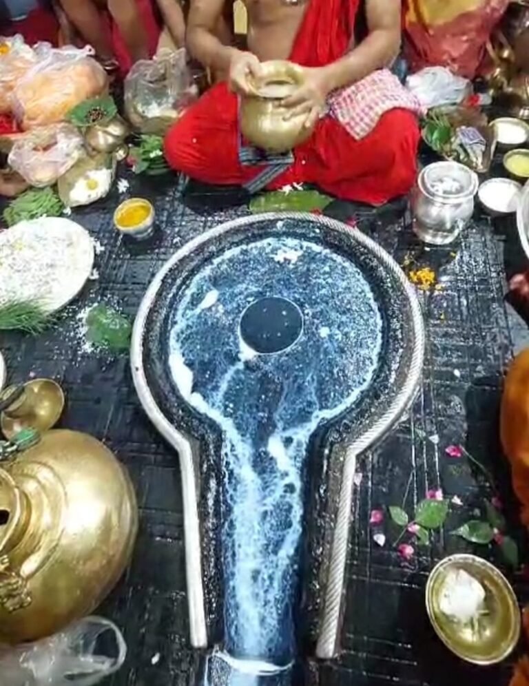 Baba Baidyanath Shivling 1 768x996