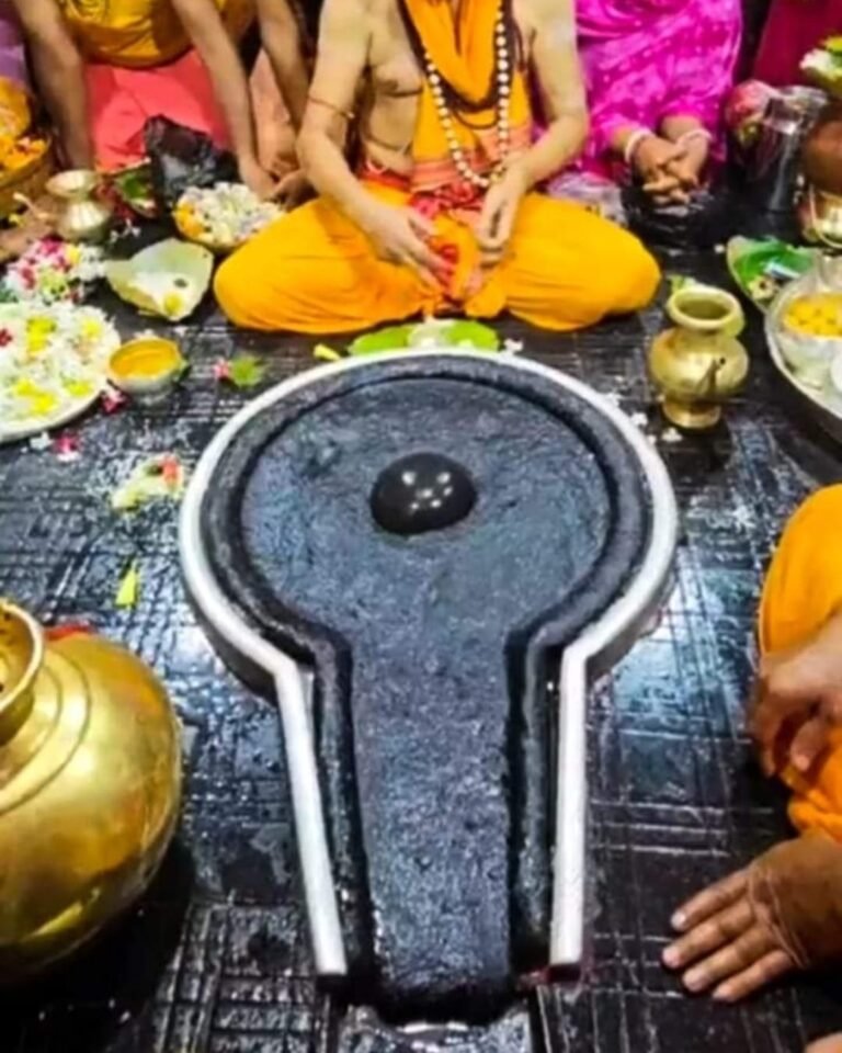 Baba Baidyanath Shivling 3 768x960