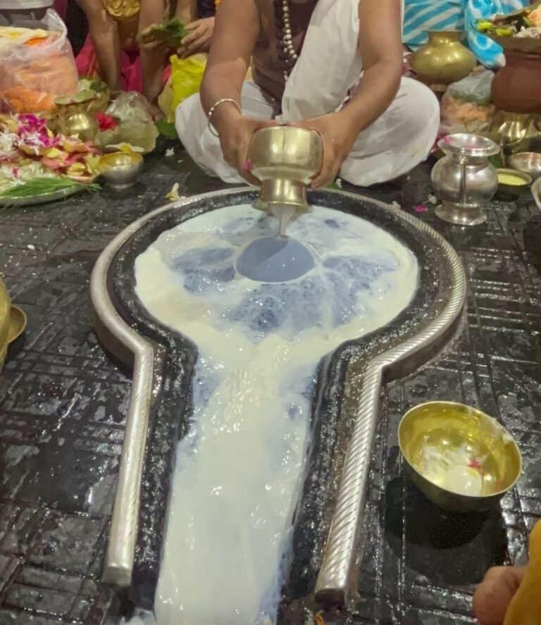 Baba Baidyanath Shivling 4 768x887