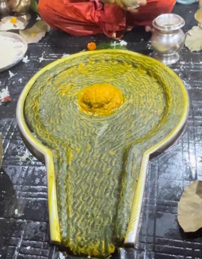 Baba Baidyanath Shivling 5 768x981