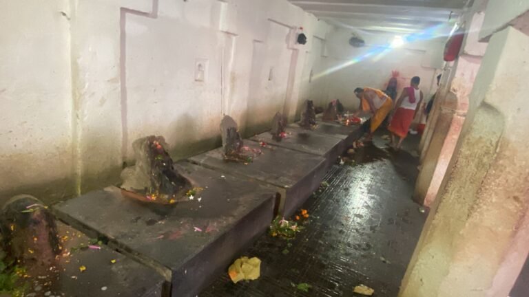 Maa Jagat Janni Temple.png 2 768x432