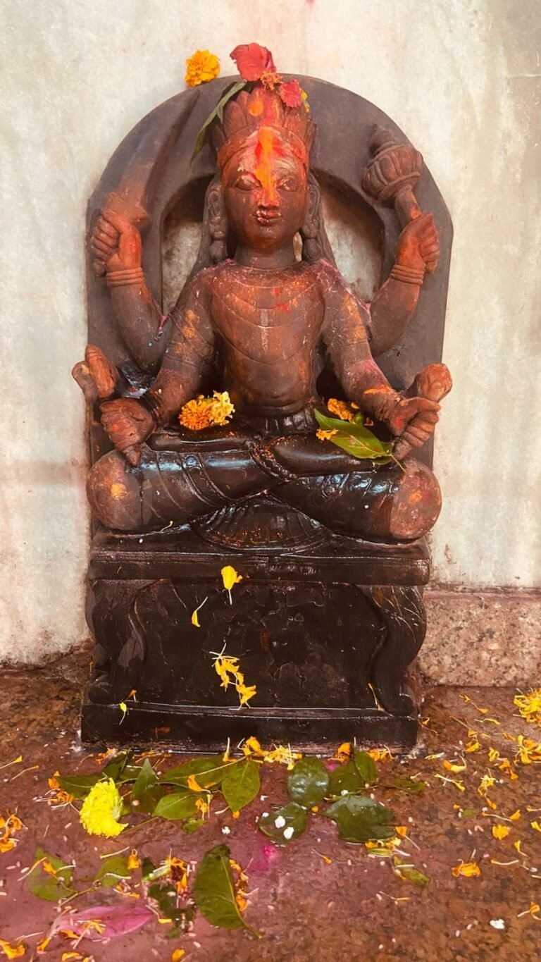 Basukinath 13 768x1365