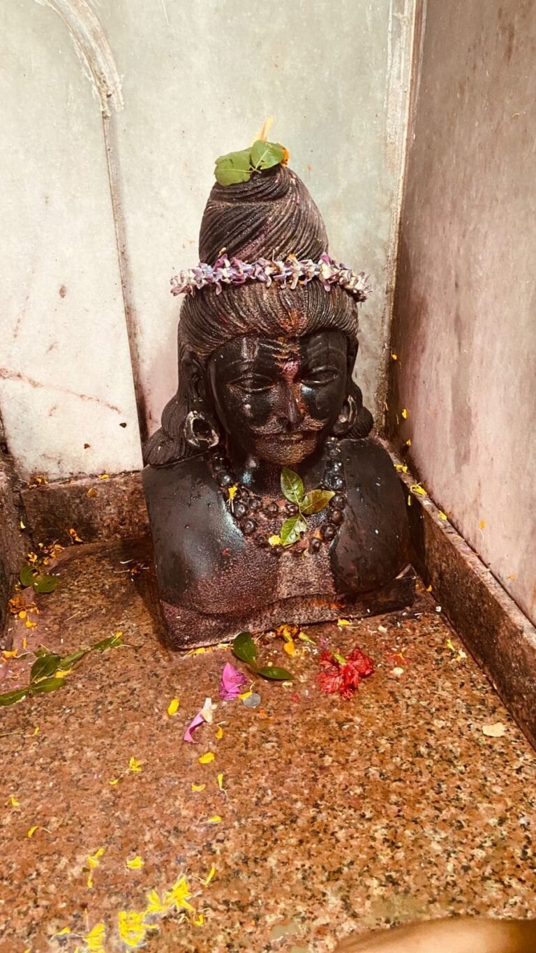 Basukinath 14 768x1365