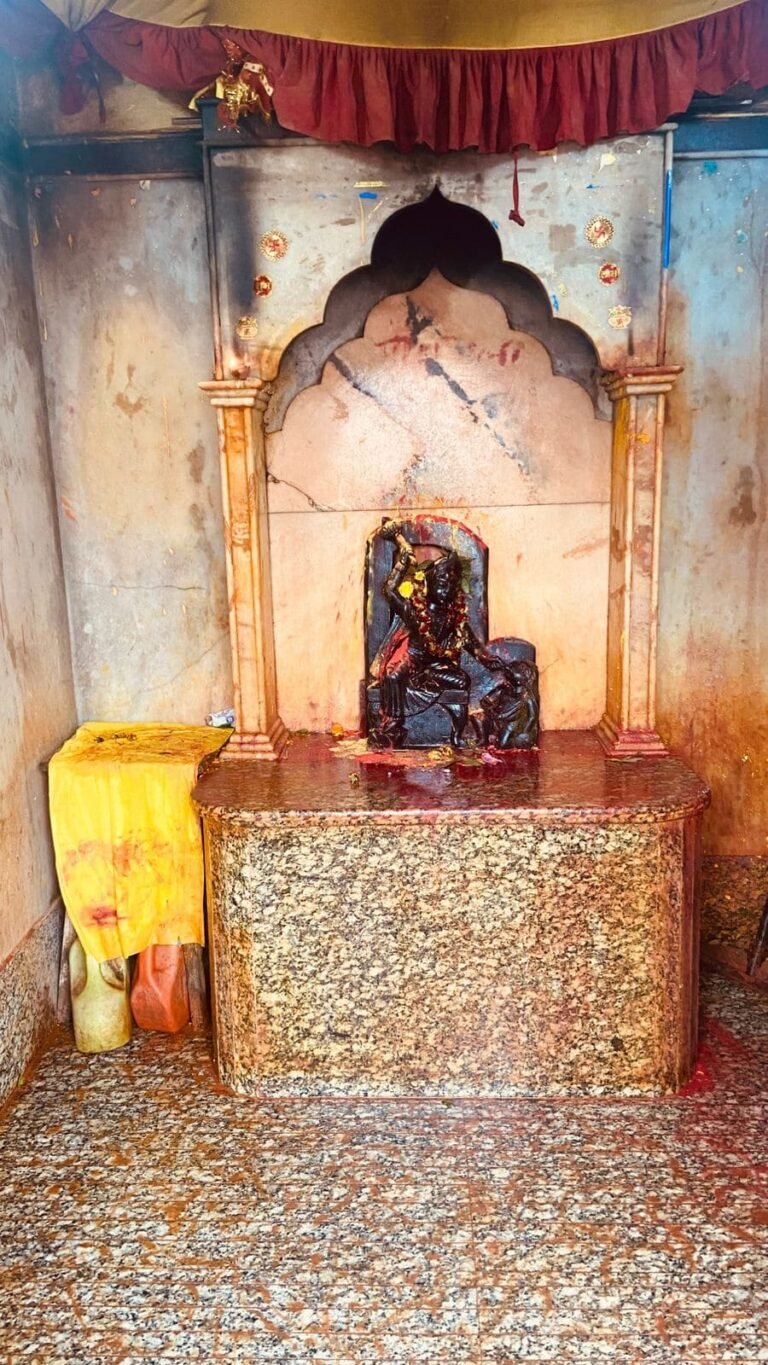 Basukinath 18 768x1365