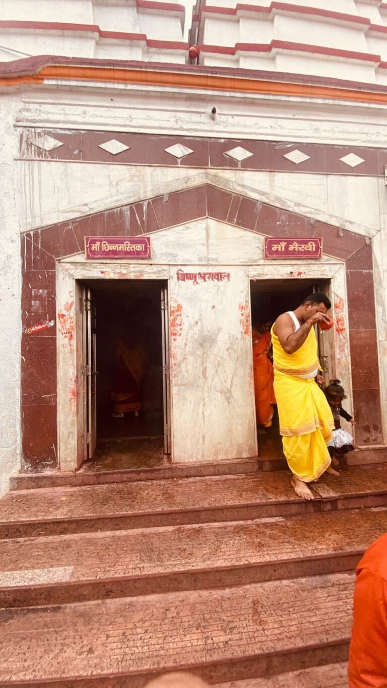 Basukinath 19 768x1365