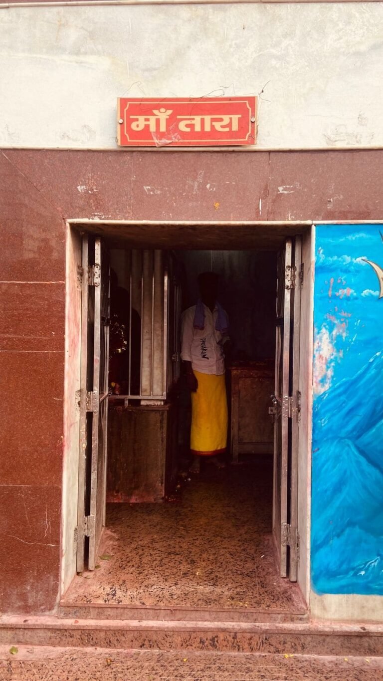 Basukinath 20 768x1365