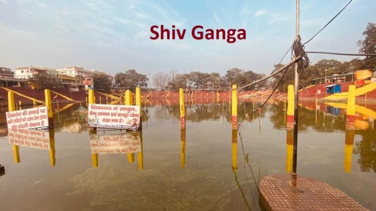 Basukinath 23 768x432