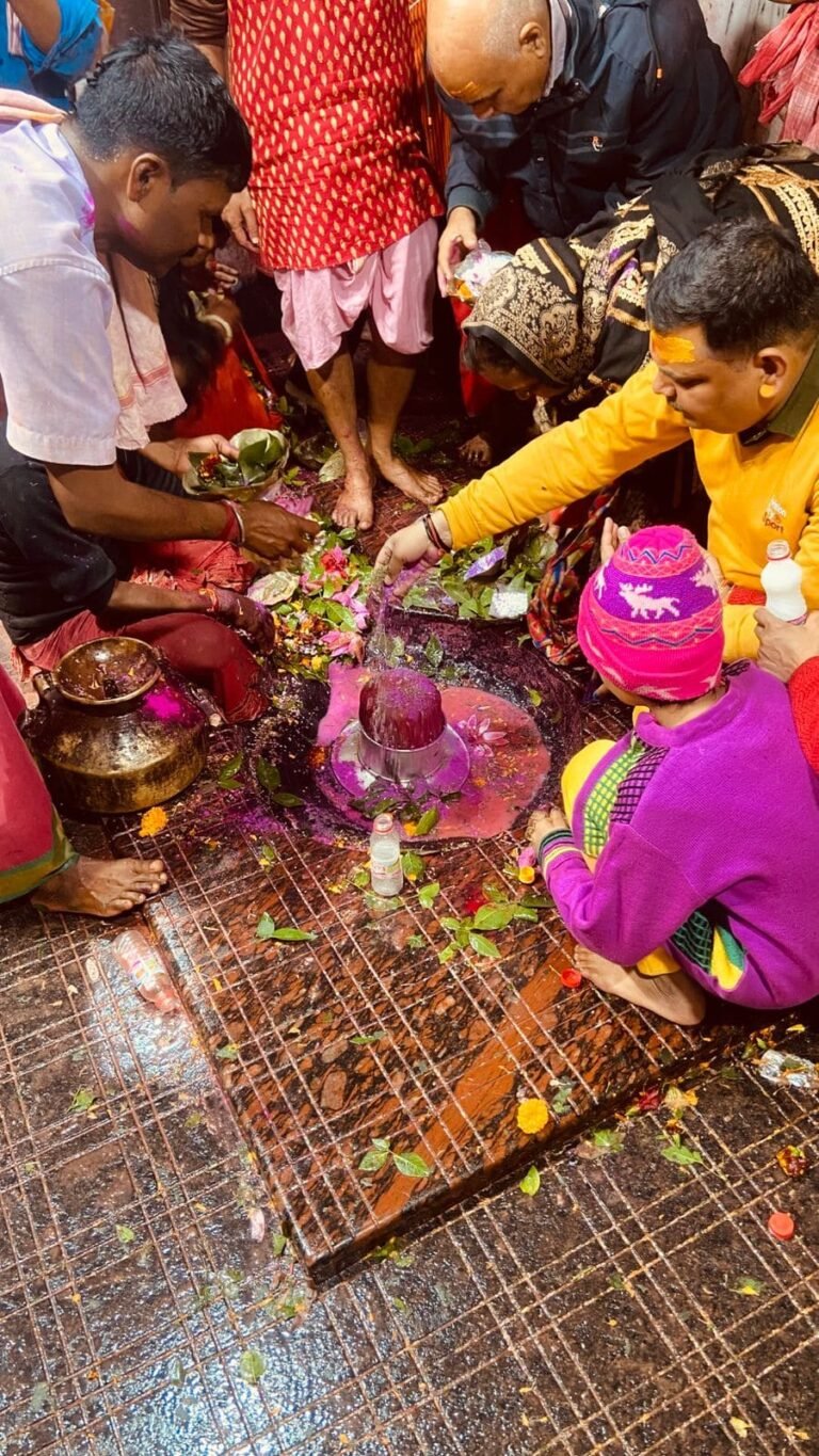 Basukinath 4 768x1365