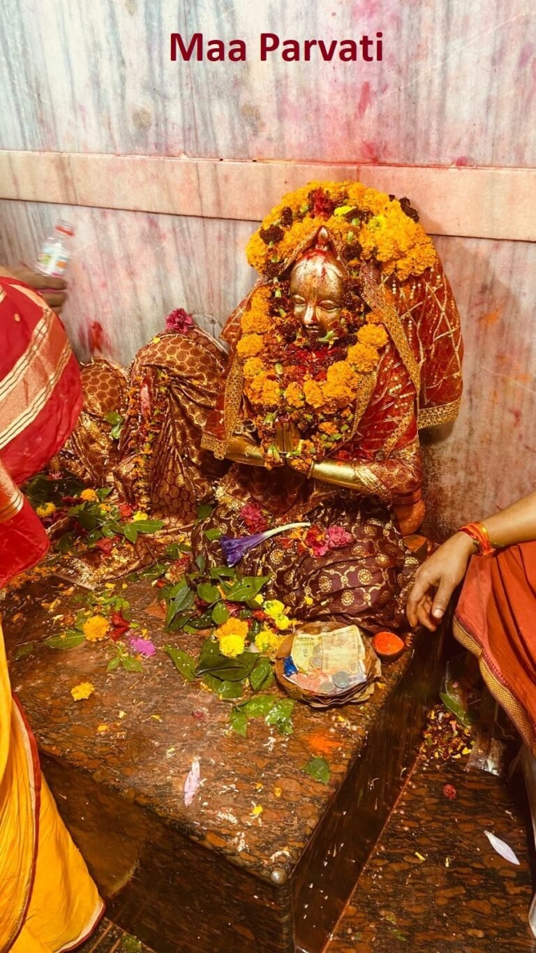 Basukinath 5 768x1365