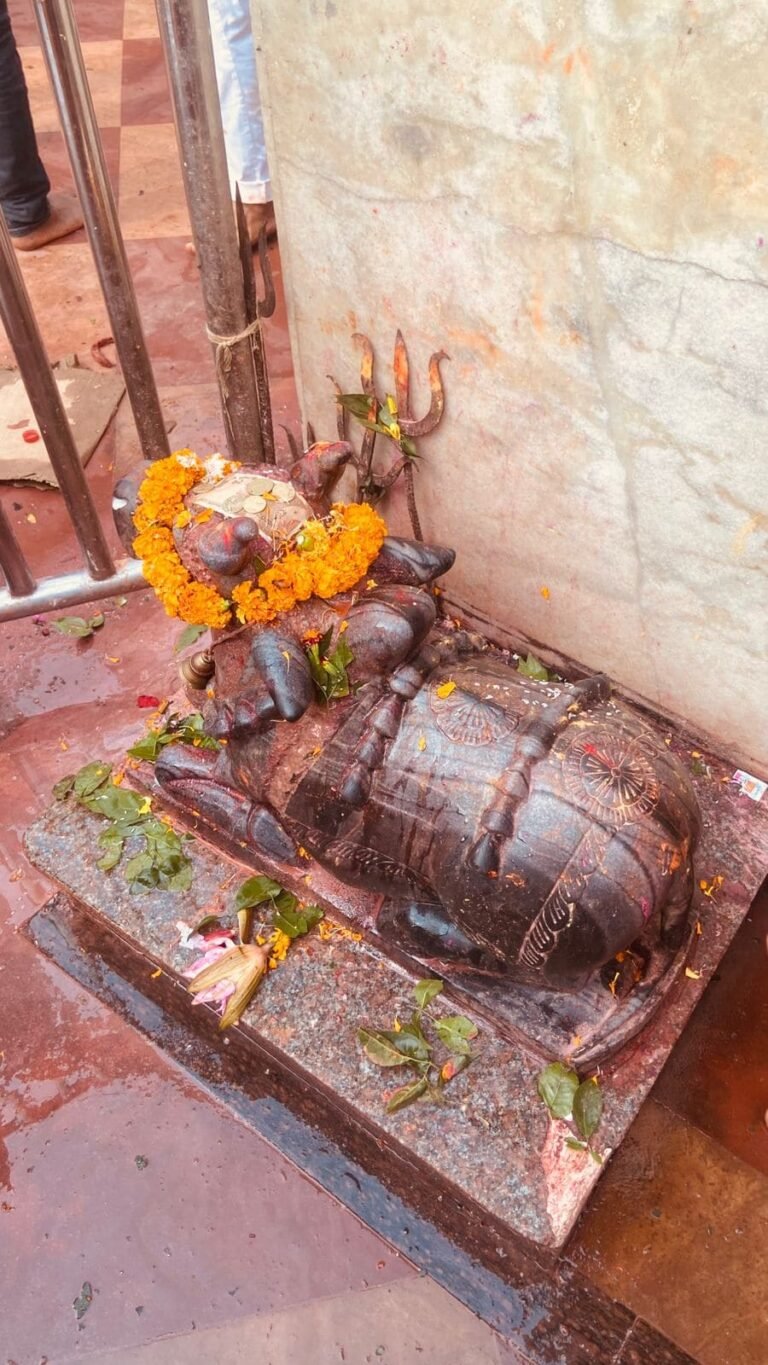 Basukinath 6 768x1365