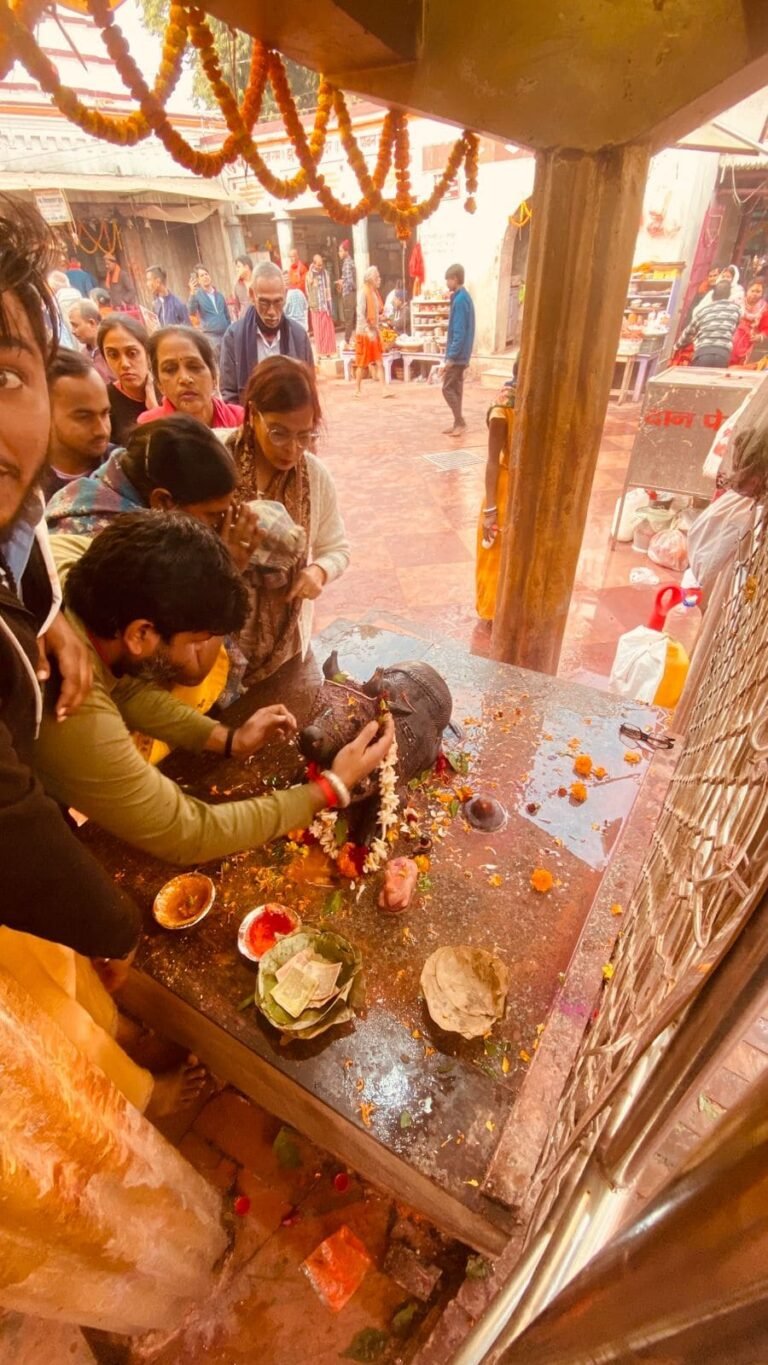 Basukinath 8 768x1365